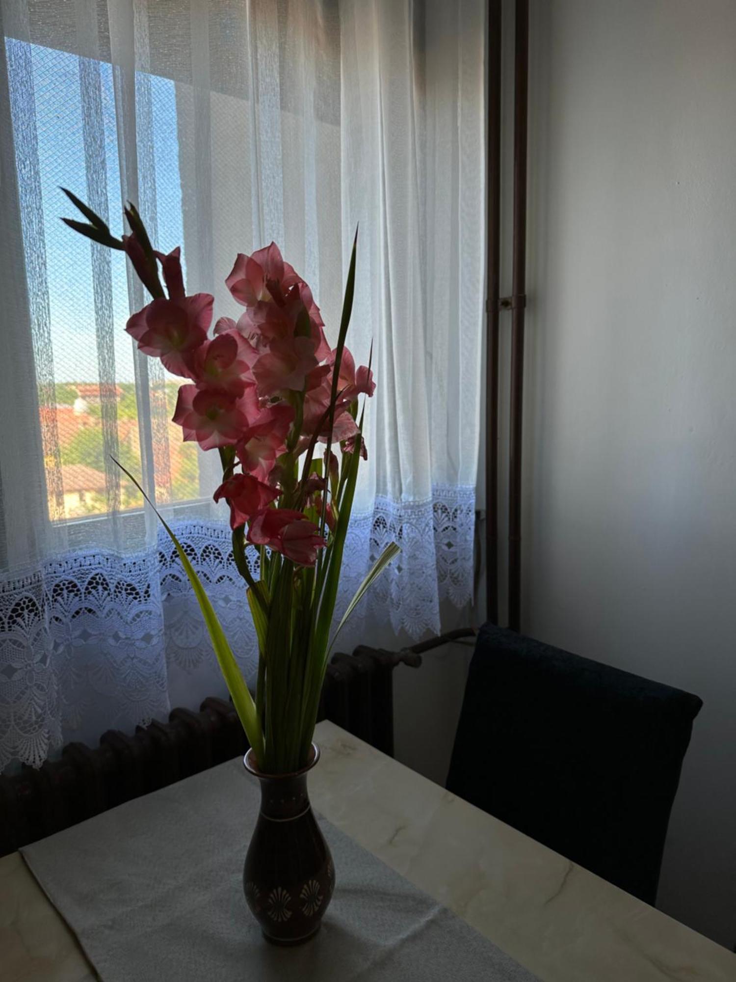 Tamaris Apartment Szabadka Kültér fotó